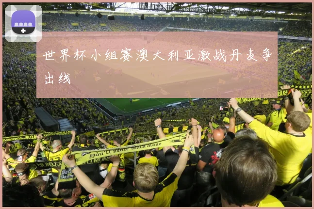 世界杯小组赛澳大利亚激战丹麦争出线