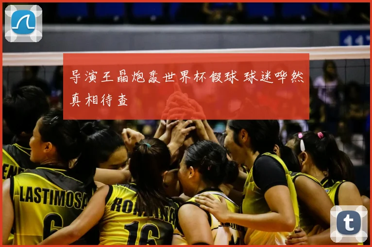 导演王晶炮轰世界杯假球 球迷哗然真相待查
