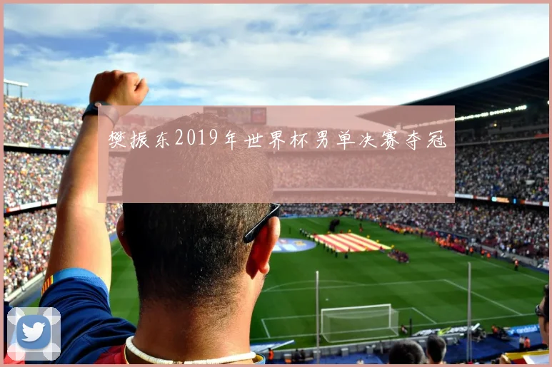 樊振东2019年世界杯男单决赛夺冠