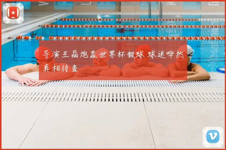 导演王晶炮轰世界杯假球 球迷哗然真相待查