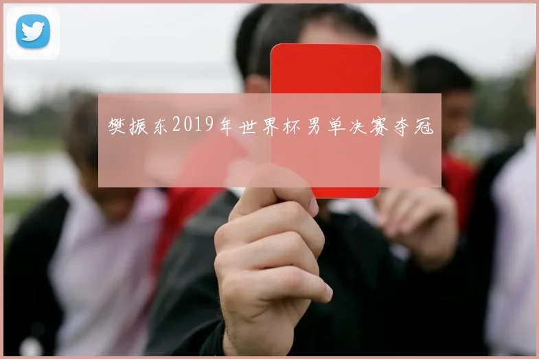 樊振东2019年世界杯男单决赛夺冠