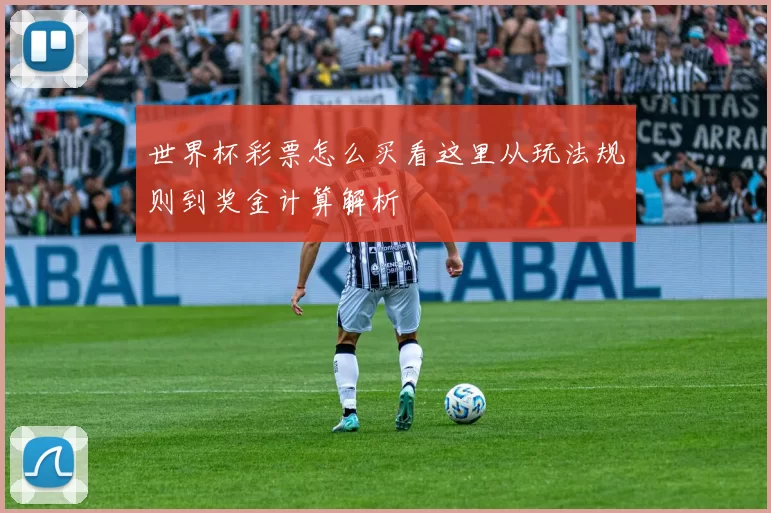 世界杯彩票怎么买看这里从玩法规则到奖金计算解析