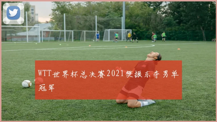 WTT世界杯总决赛2021樊振东夺男单冠军