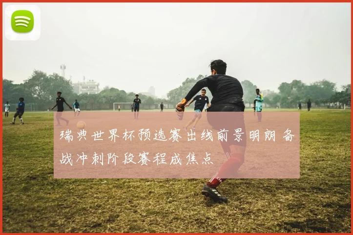 瑞典世界杯预选赛出线前景明朗 备战冲刺阶段赛程成焦点