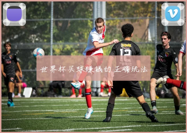 世界杯买球赚钱的正确玩法